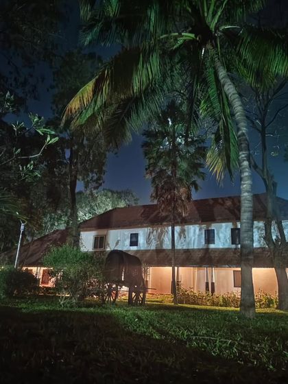 A heritage building illuminated at night, with palm trees silhouetted against the dark sky. The peaceful ambiance of Ayurvedagram continues long after the sun has set.