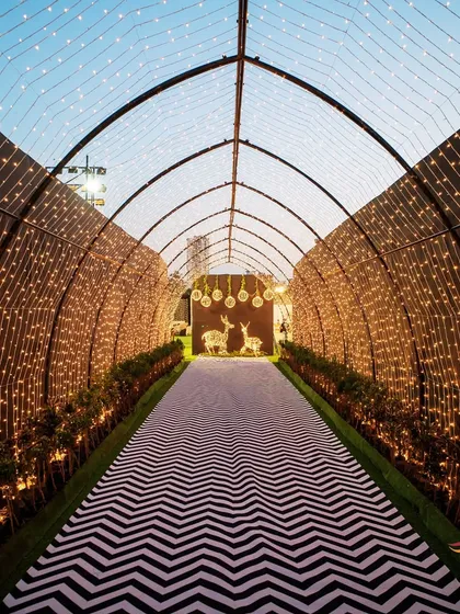 A tunnel of a million stars. I used arches of fairy lights to create this incredibly magical and romantic walkway, leading guests to a sangeet night they would never forget.