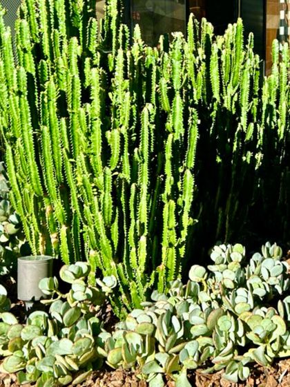 Sustainable Practices & Materials photo 9