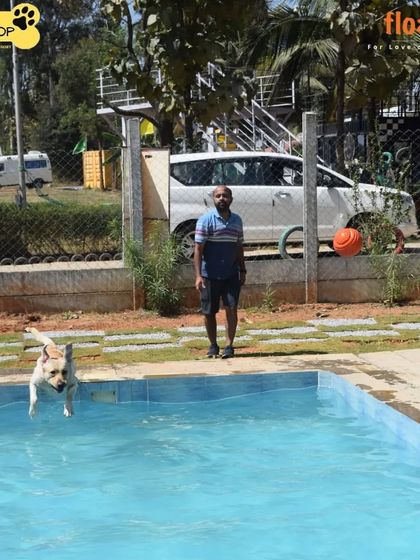 Poochkoo - Pet Activities & Adventures Splash Zone: Pool Fun & Hydrotherapy photo 5