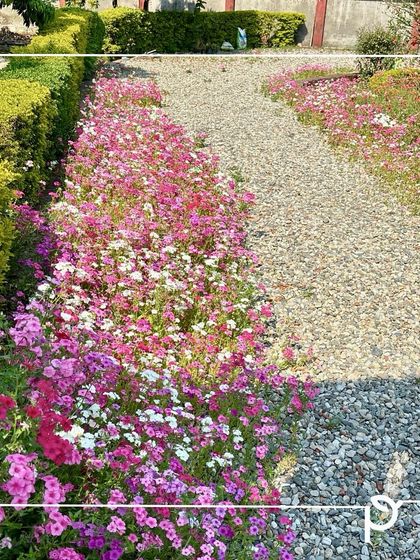 Sprawling Gardens & Farmhouse Landscapes photo 6