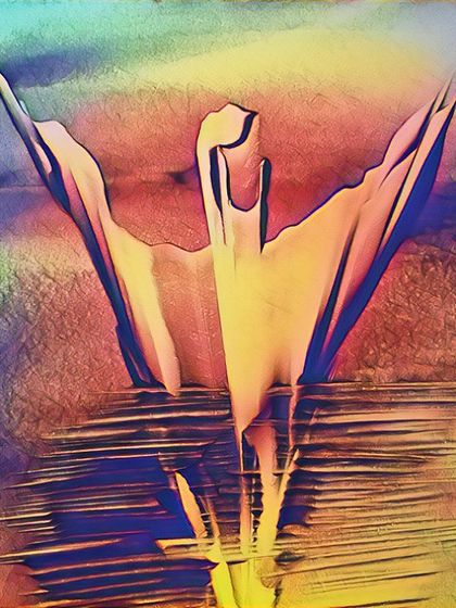 This version of 'Spread' uses a vibrant, multi-colored digital filter. It transforms the original earthy tones into a rainbow of light, creating a completely different mood.