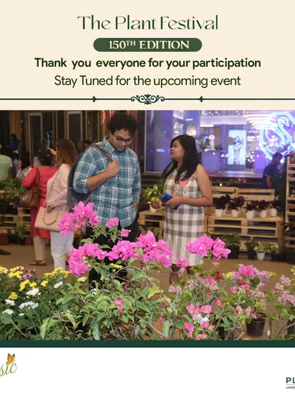 Thank you to everyone who participated in the 150th edition of The Plant Festival. It's always a pleasure to connect with fellow plant lovers and share our passion.