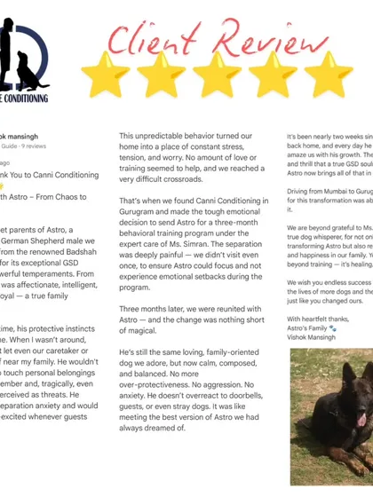 The proof is in the peace we bring to families. This review from Astro's family, who sent him to us all the way from Mumbai, says it all. We don't just change a dog's behavior; we restore harmony to the entire household.