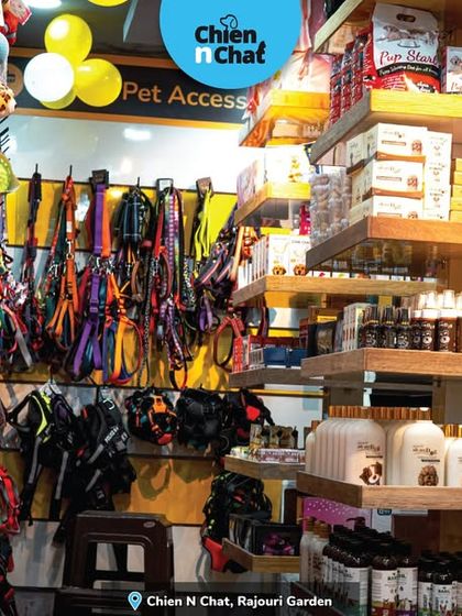 My store is packed with essentials, from a wall of colorful leashes and harnesses to shelves of high-quality grooming products. I make sure you can find everything you need under one roof.
