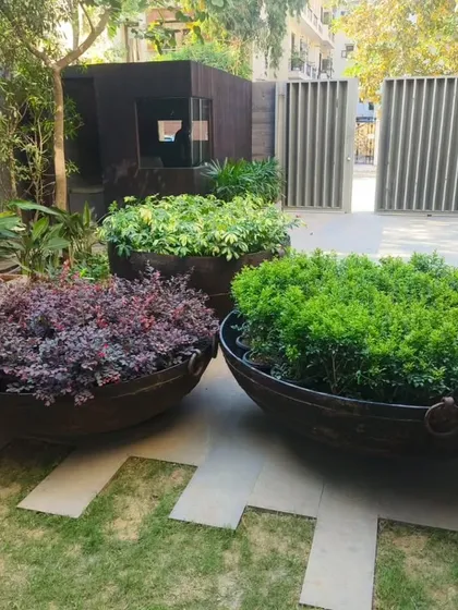 A slightly different view of the entrance urns, showing how they complement the modern architecture and create a green welcome for visitors.