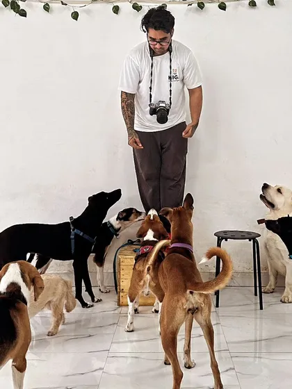 A moment of focus. Even with a camera around my neck, the pack looks to me for direction. This is the result of consistent leadership and building trust.