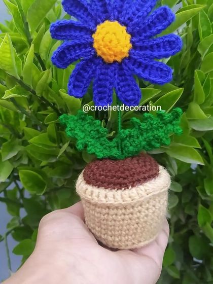 A vibrant blue daisy in a pot, a colorful and cheerful decoration.