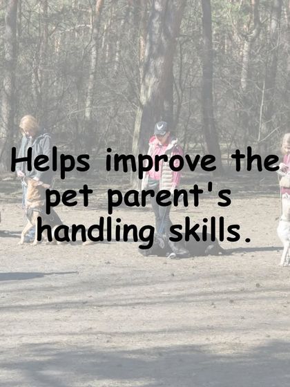 Gourav Vartalur - Dog Obedience Training Group Obedience Classes photo 10