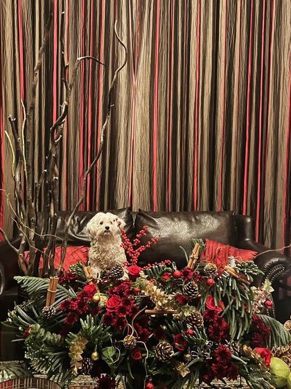 Festive Celebrations: Diwali & Christmas photo 25