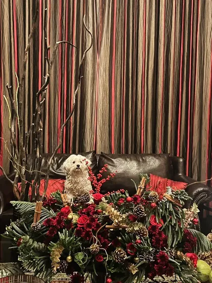 A cozy Christmas centerpiece to accentuate the holiday spirit. This arrangement features a mix of classic red and green, with roses, pinecones, and berries, all set against a backdrop of tall, dark branches.