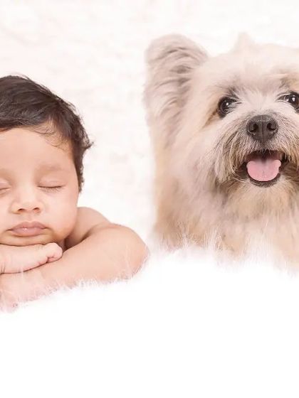Best friends from the start. A sleeping newborn and the family's fluffy dog lie side-by-side on a soft white blanket, a simple and heartwarming portrait.