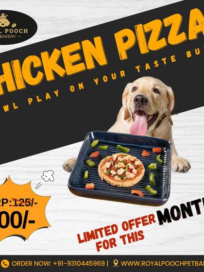 Here is my special offer for my Chicken Pizza for dogs! It's a fowl play on your taste buds that your dog will go crazy for. I make it fresh with real chicken and dog-safe toppings.