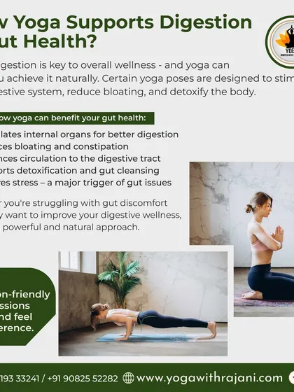 Good digestion is fundamental to overall health. I design yoga sessions that specifically target the digestive system, using poses that stimulate internal organs, reduce bloating, and relieve stress, a major cause of gut issues. This informational graphic explains how yoga can naturally support your digestive wellness.