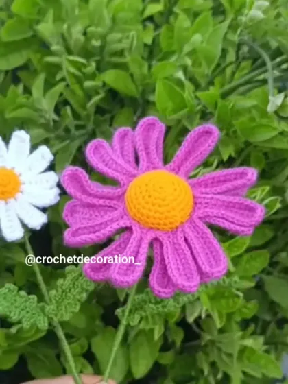 A close-up of the white daisy and purple oxeye daisy stems.