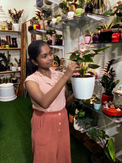 She seems to have found a winner. This anthurium in a clean white pot is a beautiful choice, and it's great to see the next generation of plant enthusiasts in action.