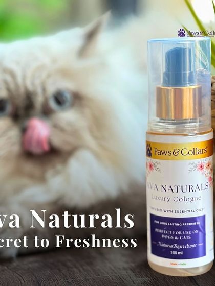 PawsnCollars - Pet Grooming & Spa Ava Naturals: Luxury Pet Cologne photo 7