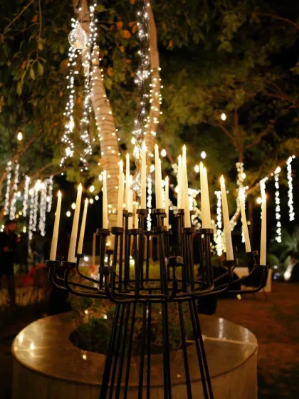 Spectacular Evenings: Sangeets, Receptions & Welcome Dinners photo 49