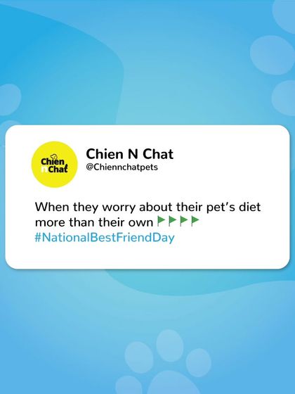 You know you're a true pet parent when you worry more about their diet than your own. That's a green flag right there. Happy National Best Friend Day.