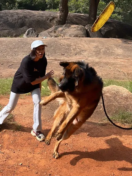 Training isn't just about commands; it's about having fun. I use play, like a game of frisbee, to build motivation and strengthen your bond. A happy, engaged dog is a dog that loves to learn.