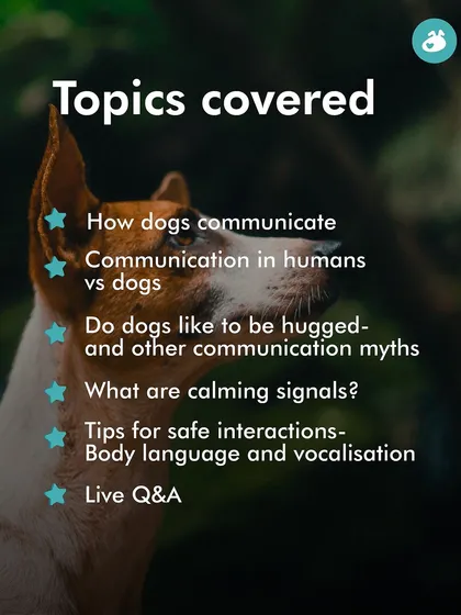 Here is a look at the topics covered in my communication masterclass. We discuss everything from calming signals to whether dogs actually like hugs, and end with a live Q&A to answer all your questions.