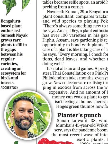 A snippet from the Hindustan Times article where I talk about creating an ecosystem for birds and insects in my garden.