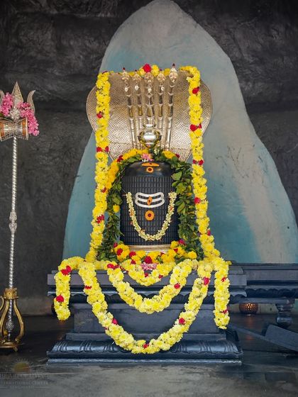 Art of Living - Religious Ceremonies & Festivals Sacred Vedic Rituals: Homas & Pujas photo 4