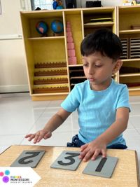 Afternoon Montessori Program