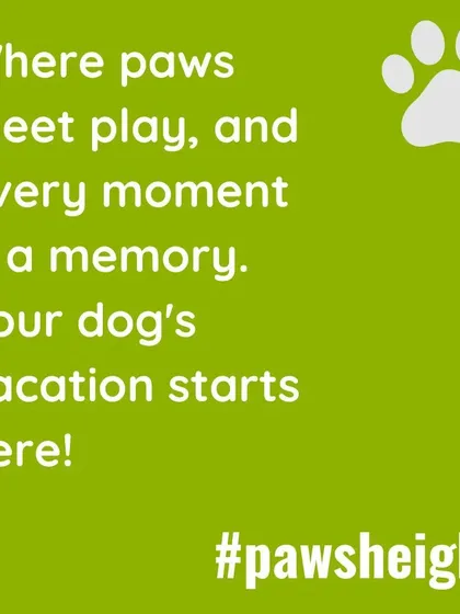 This is my promise for your pet's boarding experience. At Pawsheight, it's all about creating a fun, safe, and memorable vacation for your dog.