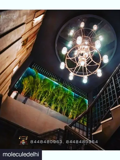 This view showcases our plant installation along the main staircase at Molecule. The backlit greenery creates a stunning visual focal point, adding life and color to a transitional space and enhancing the overall interior design.