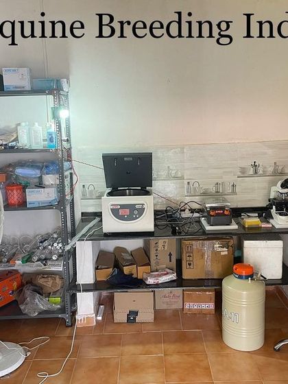 An overview of the equine breeding lab. Our fully equipped laboratory includes centrifuges and other specialized equipment for processing and preserving equine semen. This investment in technology is central to our commitment to advancing the horse breeding industry in India.