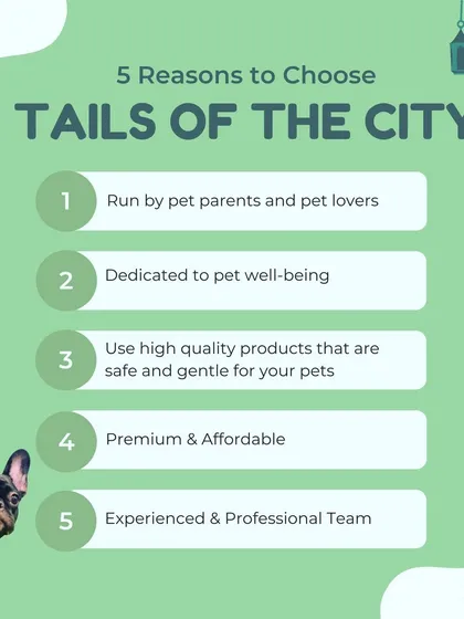 Here are five simple reasons why we think you and your pet will love it here. We are pet parents ourselves, dedicated to providing a premium, safe, and affordable grooming experience with our professional team.