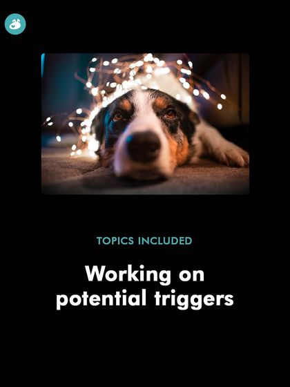 Working on potential triggers before they become a problem is key. My Diwali class helps you identify and manage things that might scare your dog during the festival.