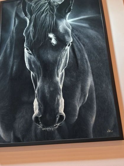 A stunningly realistic monochrome portrait of a horse by artist Zeinab Sarkhosh, showcasing her mastery of light and shadow.