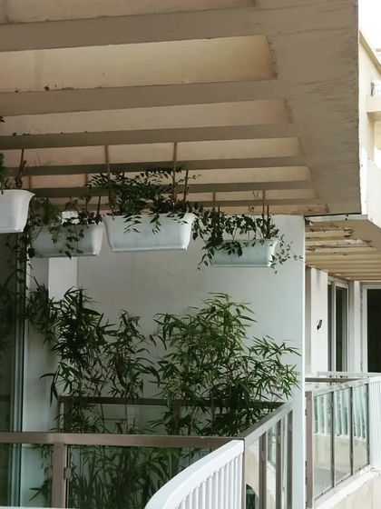 Hanging planters are another great space-saving solution for balconies, adding greenery at eye level.