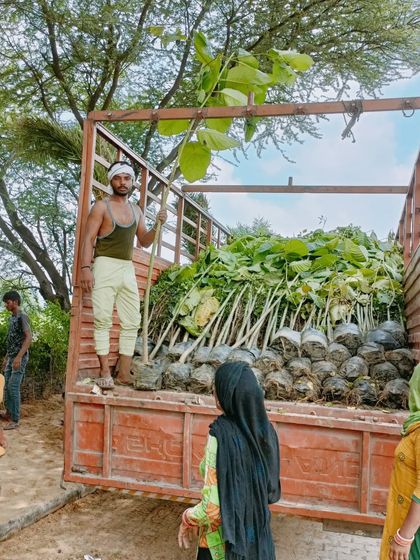 The Building Blocks: Plants & Preparation photo 3