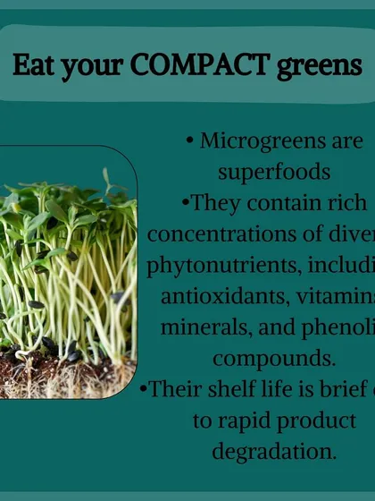 An informational graphic about microgreens. They are superfoods packed with phytonutrients, and we teach you how to grow these compact greens in our workshops.