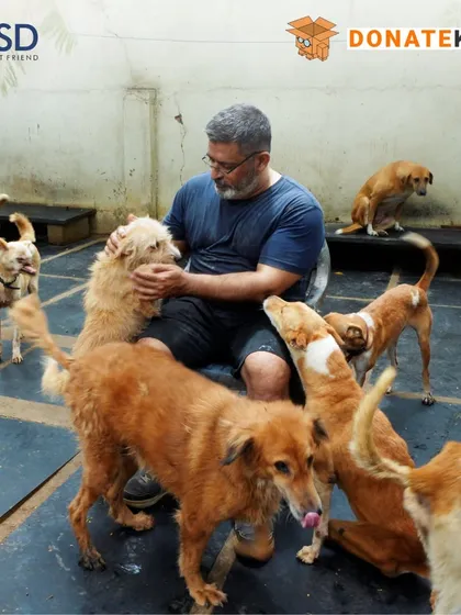 Rakesh Shukla surrounded by some of the 1,800 dogs he cares for. Your donations give a new life to these deserving animals.