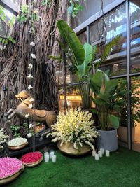 Event Greenery & Plant Rentals