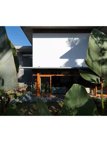 A close-up view of the facade, where the texture of the board-formed concrete is visible, framed by large tropical leaves.