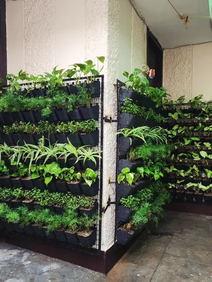 Limited on space? We design and install custom vertical gardens to bring lush greenery to any wall, transforming urban balconies and compact areas into vibrant, living ecosystems.