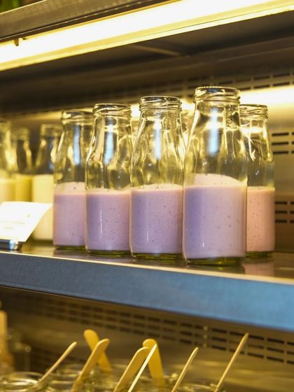 Sreya Bhar - Wellness Retreats & Workshops Additional Work & Events photo 20