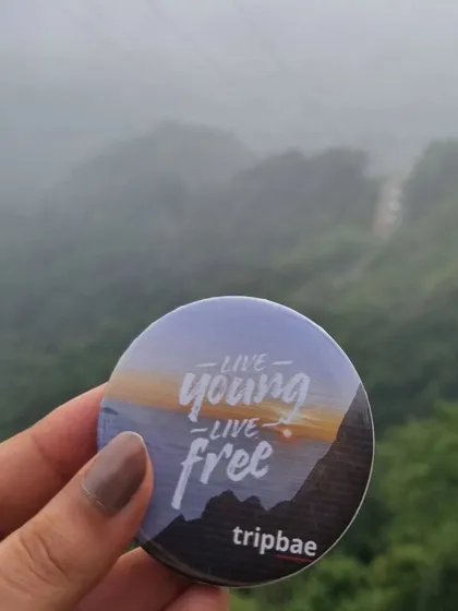 "Live Young, Live Free" - our motto on a Tripbae badge, held up against the misty backdrop of Wayanad.