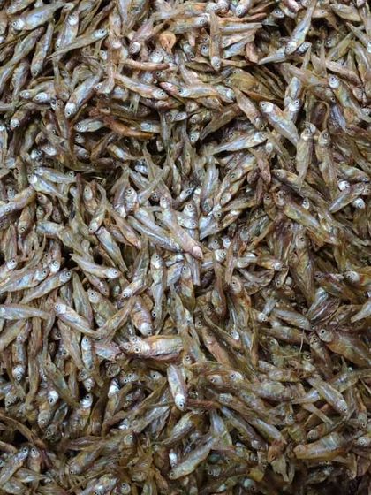 This is the same high-quality small dried fish I use in my own kitchen. They are sourced for their authentic flavor.