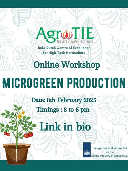 Ready to grow your knowledge? Our online Microgreen Production workshop covers everything from seed selection to harvesting these nutrient packed beauties.