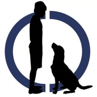 Canine Conditioning