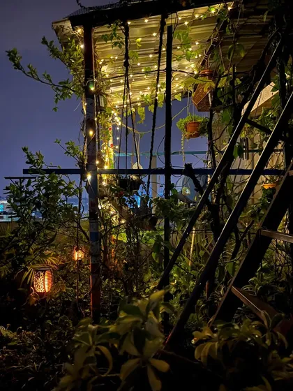 Looking up towards the roof of the garden structure, with lights tangled in the vines. It shows how lighting can be integrated to look like a natural part of the garden.