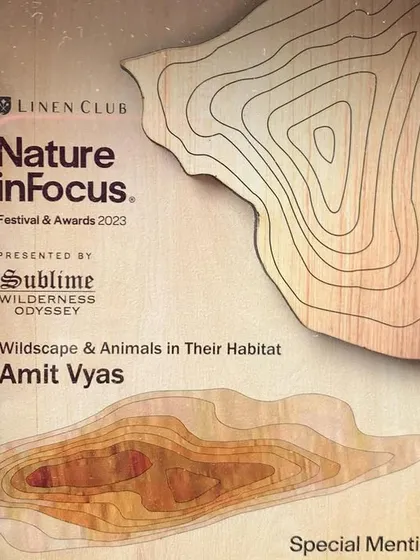 The beautifully crafted wooden plaque I received from the Nature inFocus awards. It's a piece of art in itself.
