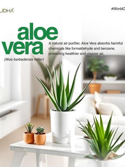 Paudha - Commercial Biophilic & Interior Design Our Design Philosophy & Tips photo 14