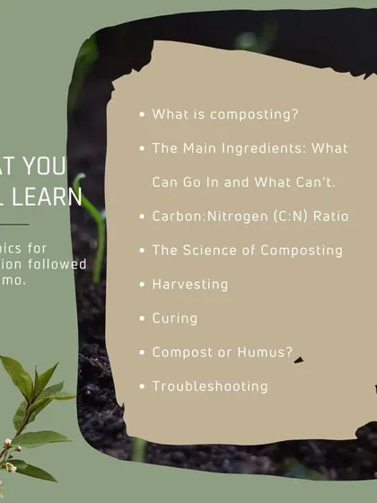This graphic outlines the key topics for my online workshop, including the science of composting, C:N ratio, harvesting, curing, and troubleshooting.
